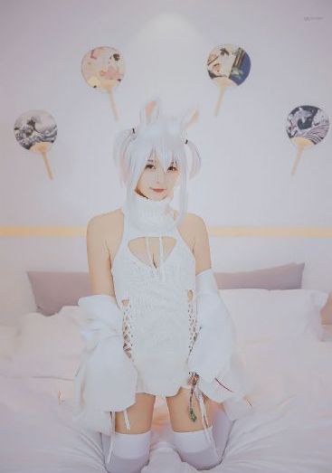 新白娘子传奇50集免费下载观看