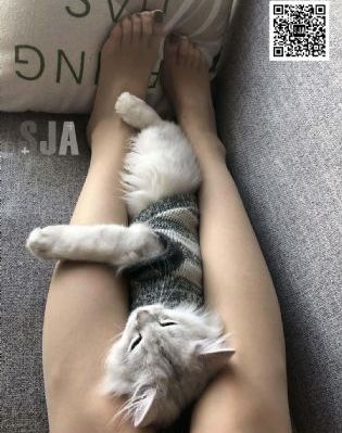 年轻的小姨子2在线观看