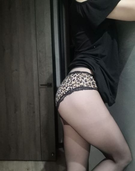 忍冬艳蔷薇