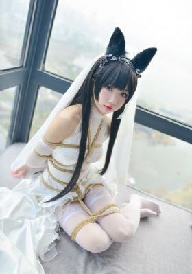 妻子的选择电视剧免费完整版